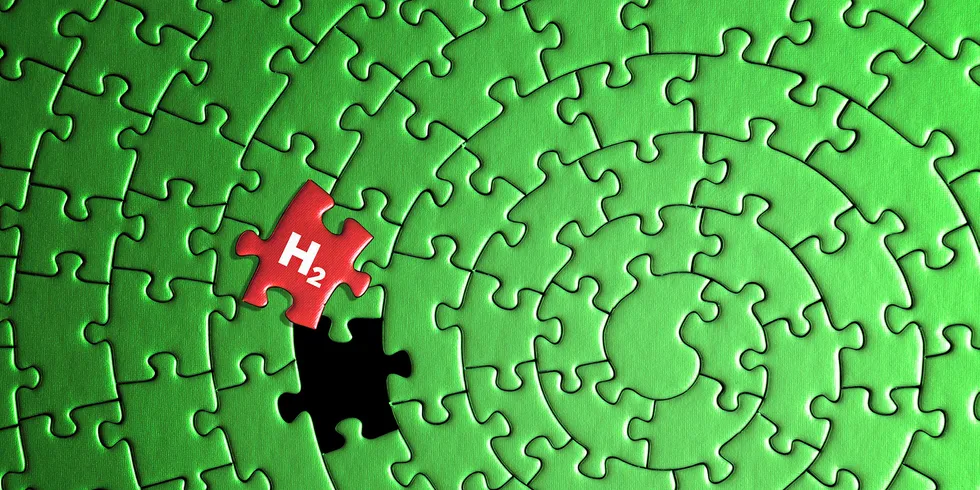 The missing piece of the puzzle?