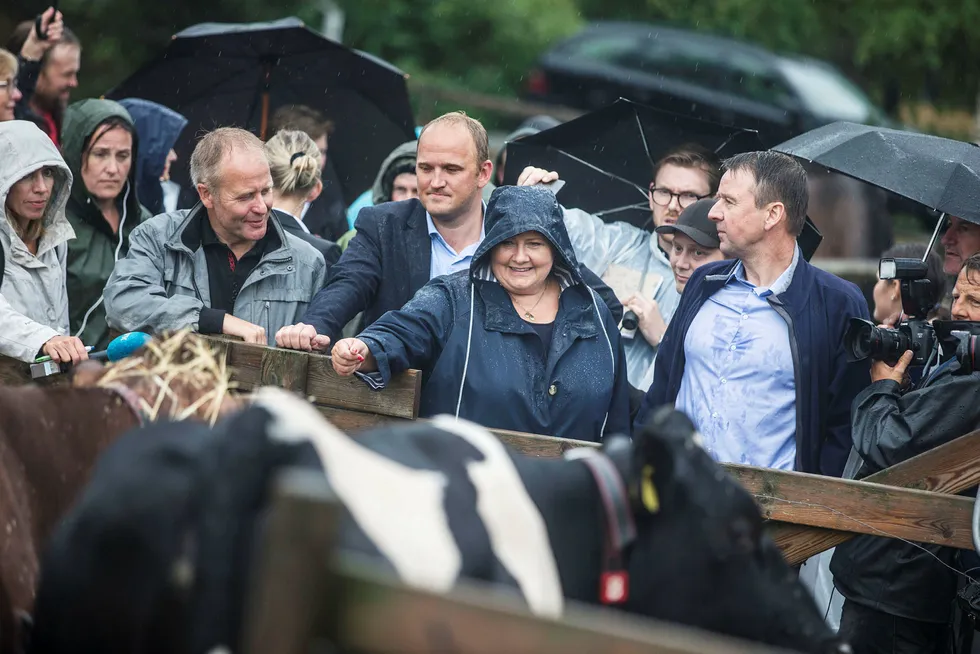 I regnvær møtte statsminister Erna Solberg (i midten) og landbruksminister Jon Georg Dale (til venstre bak statsministeren) bondeorganisasjonene på et gårdsbruk på Kløfta for å diskutere tørkesommeren. – Vi ble skvettvåte. Det er bra, sier landbruksministeren.