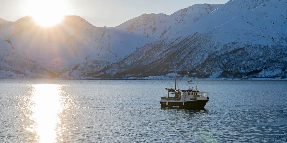 Det vil vera ein vinn-vinn-situasjon om me avviklar trålfiske, og tilbakefører fiskeressursane til den kystnære sjarkflåten, skriv innsendaren.