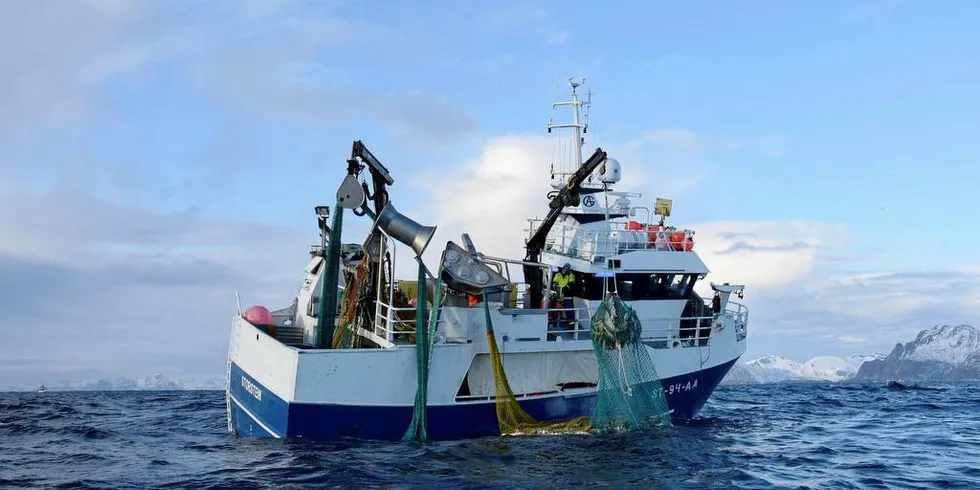 GODT FISKE: «Storstein» fra Sør-Trøndelag hadde en meget bra dag på Lofothavet torsdag, og her heiser snurrevadbåten om bord en sekk av den skreien som etter hvert ble en dagsfangst på godt og vel 20 tonn.Foto: Frode Adolfsen