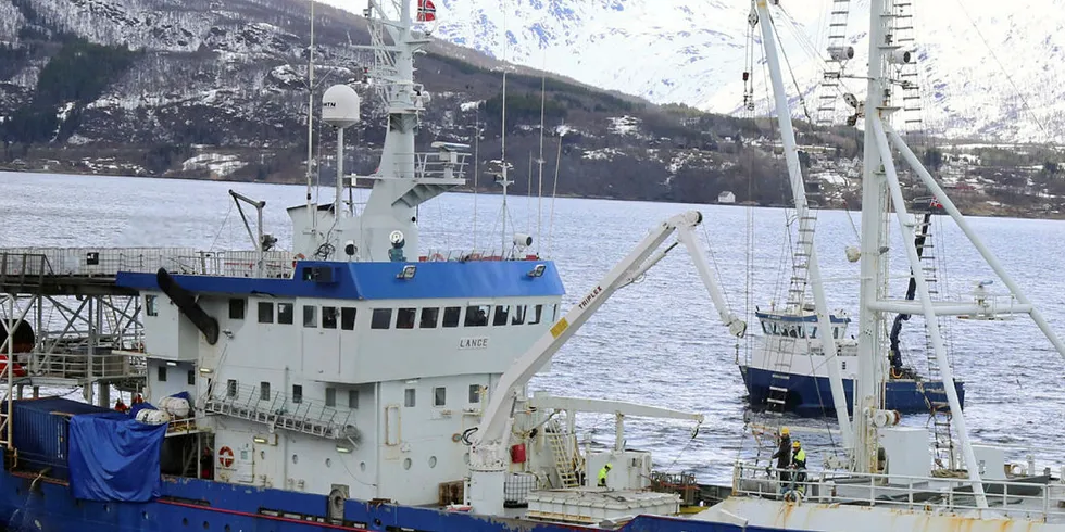 VAR BASE: Her legger ishavsskuta «Lance» til kai på Åkenes for første gang siden 1980. Denne kaia i Gratangen var base for båten i tiden etter at reder Enok Martinsen fikk den overlevert fra byggeverftet i 1978.