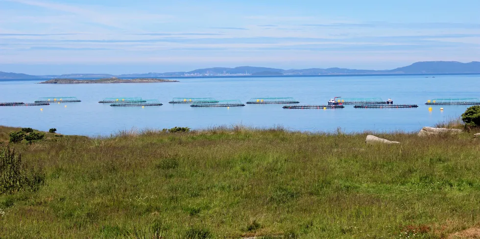 Lokaliteten Rennaren tilhører Grieg Seafood Rogaland. Den ligger på Rennesøy nord for Stavanger. På lokaliteten er det både undervisningstillatelse og FoU-tillatelse. Tillatelsene eies sammen med Skretting og Rogaland Fylkeskommune