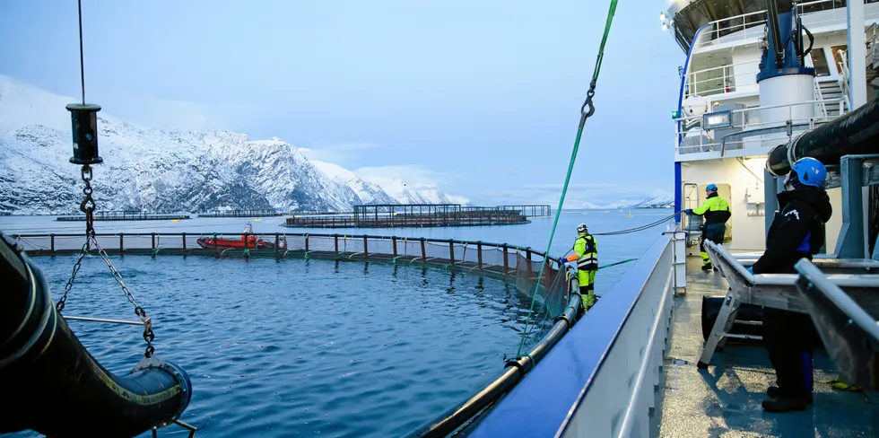 Det er lite annen privat næringsvirksomhet som har like stort potensial for fremtidig verdiskaping og lønnsomme arbeidsplasser i de minst sentrale kommunene, som oppdrett og fiskeri.