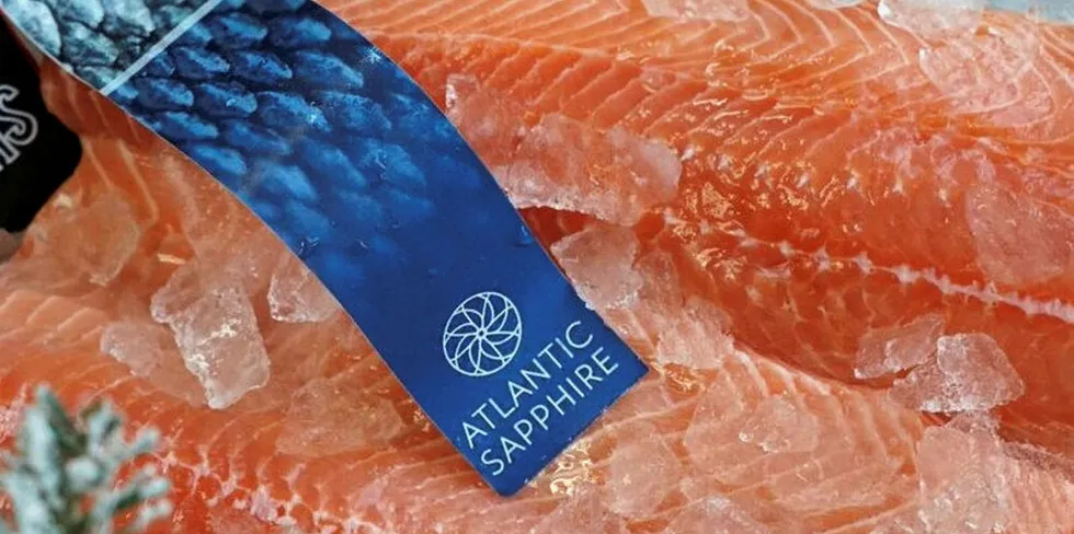 Atlantic Sapphire fresh land-based farmed salmon fillets officially went on sale in late September.