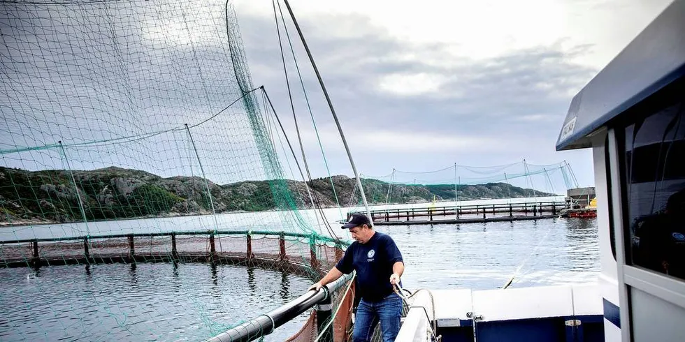 NEI: Både Frp og Høyre sier nei til nye lakseskatter. Her er Åge Igland, daglig leder og eier i Korshavn Havbruk, på jobb på merdkanten. Foto: Tomm Wilgaard Christiansen