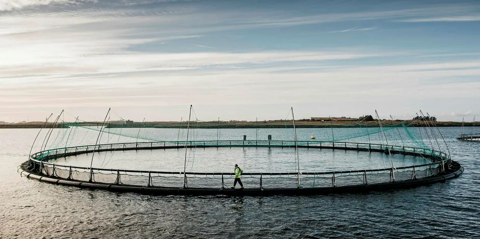 Illustrasjonsfoto av en av Grieg Seafood Rogalands lokaliteter.