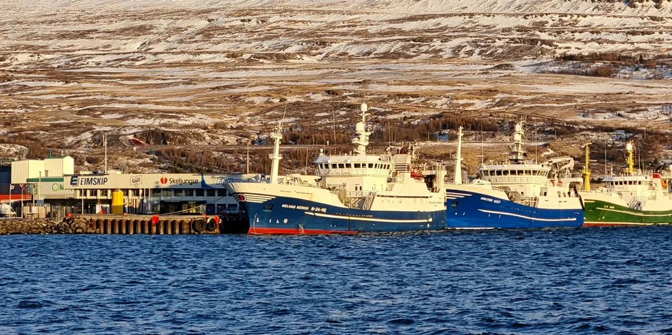 Den norske loddeflåten ligger for det meste til kai og venter på tur for å fiske lodde ved Island. Her er Selvåg Senior, Endre Dyrøy og Hargun ved kai i Akureyri.