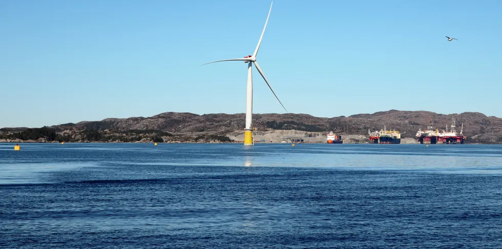 I en pilotstudie fant forskerne indikasjoner på en større planktonproduksjon i nærheten av vindparken «Hywind Scotland».
