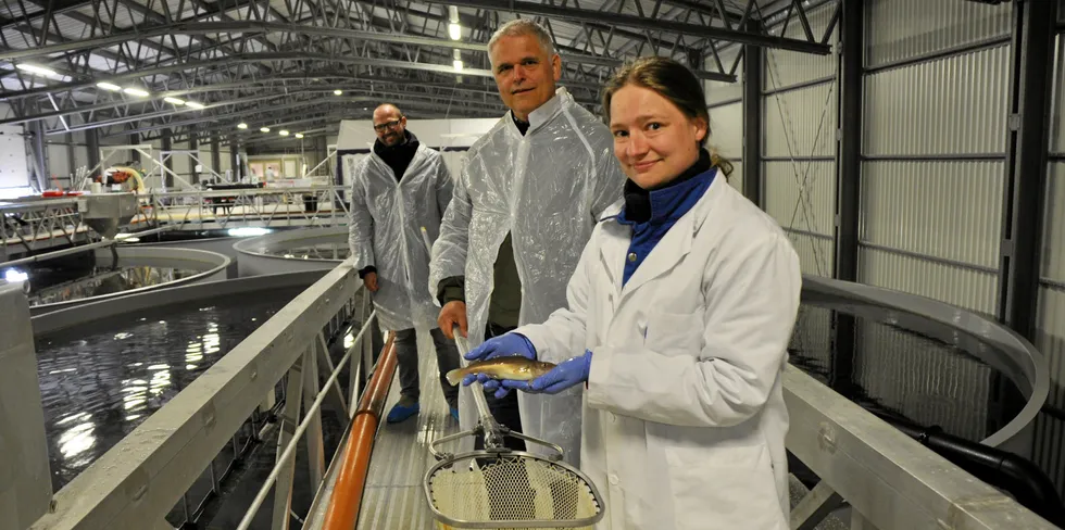 En settefisk, Ann Kristin Ulset, Erik Tryggestad og Nicolaj Weiergang (bakerst).