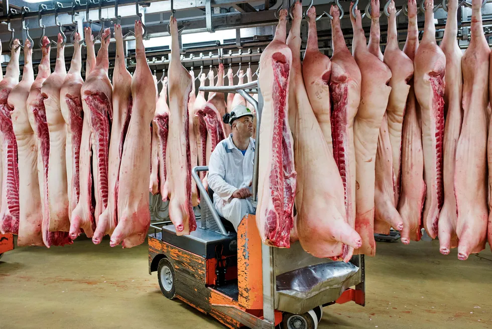 Roger Gudbransen sender kjøtt fra kjølelageret og inn i produksjonen på Norturas fabrikk på Rudshøgda. Voksende kjøttlagre påvirker resultatet for det bondeeide selskapet.