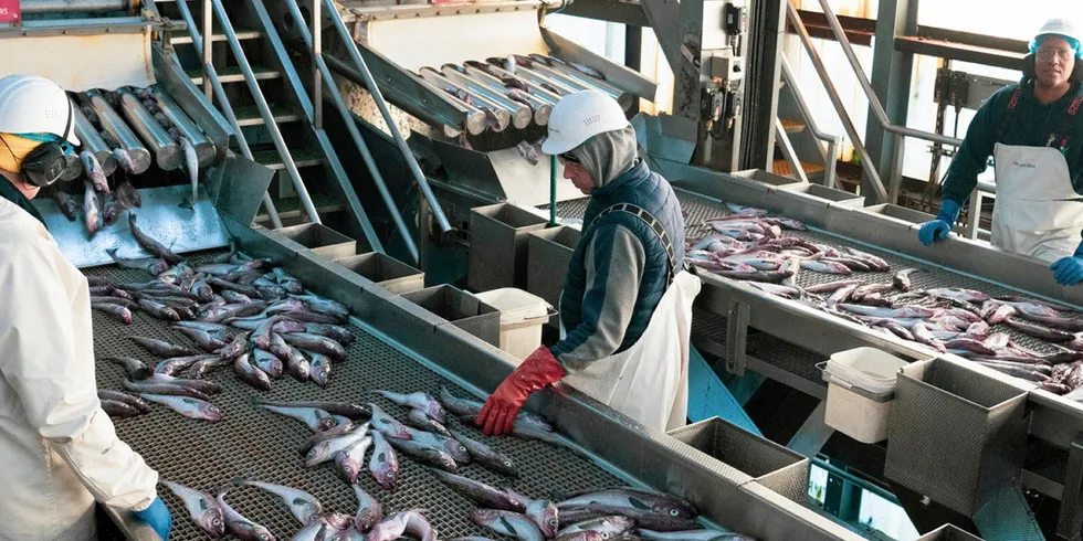 The NPFMC is deliberating on Alaska pollock harvest specifications. The fishery is one of the most valuable in the world.