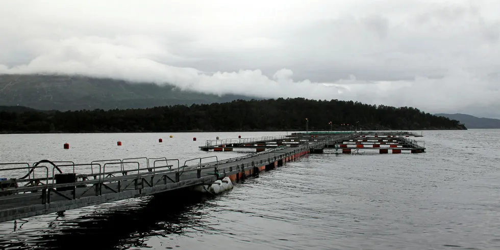 Det familie-eide oppdrettselskapet Steinvik Fiskefarm har totalt syv matfisklokaliteter i Sogn og Fjordane. Her er en av dem.