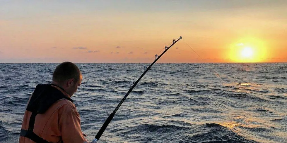 Cirka 20 sportsfiskerlag er plukket ut til å fiske makrellstørje utenfor Øygarden vest for Bergen. Kun ei størje er merka så langt. Foto: Sean Tracey/Havforskningsinstituttet