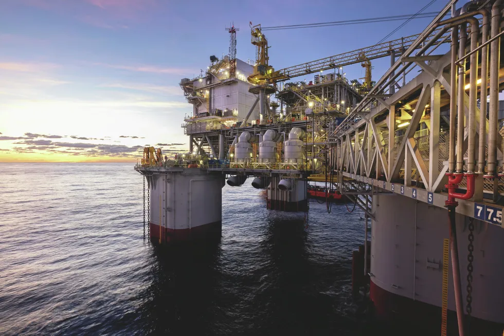 Judge grants more time for new endangered species rules for US Gulf of