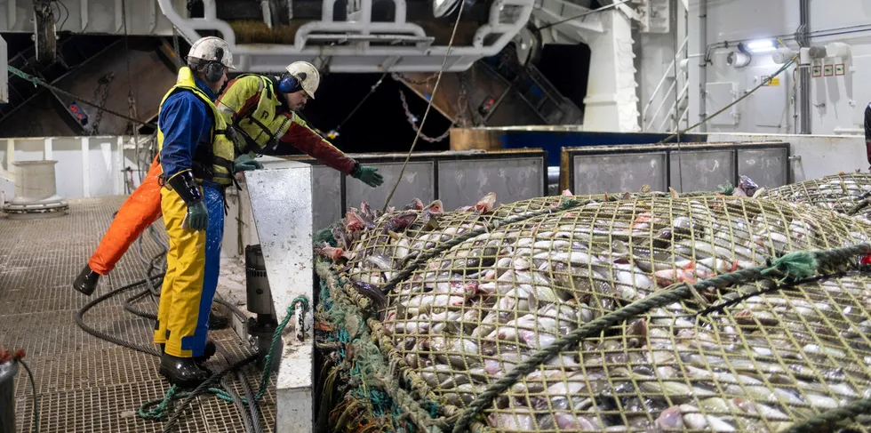 Bilder fra Lerøy Havfisk sin tråler «Kongsfjord». Etter at fangsten er landet på et av Lerøy sine anlegg, kreves det mye energi for å bearbeide fisken. Sjømat Norge mener at elektrisk kraft er en flaskehals for blant annet grønn omstilling av sjømatnæringen.