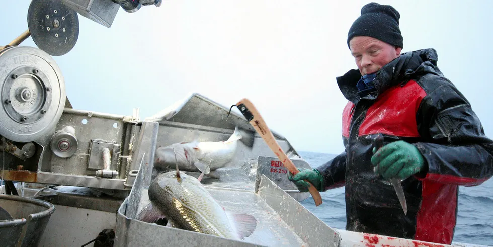 TORSKEREGULERINGER: Nordland Fylkes Fiskarlag mener Jens Einar Bjørkås Johnsen og andre torskefiskere må justere sitt fiske for å dempe presset på kysttorsken.