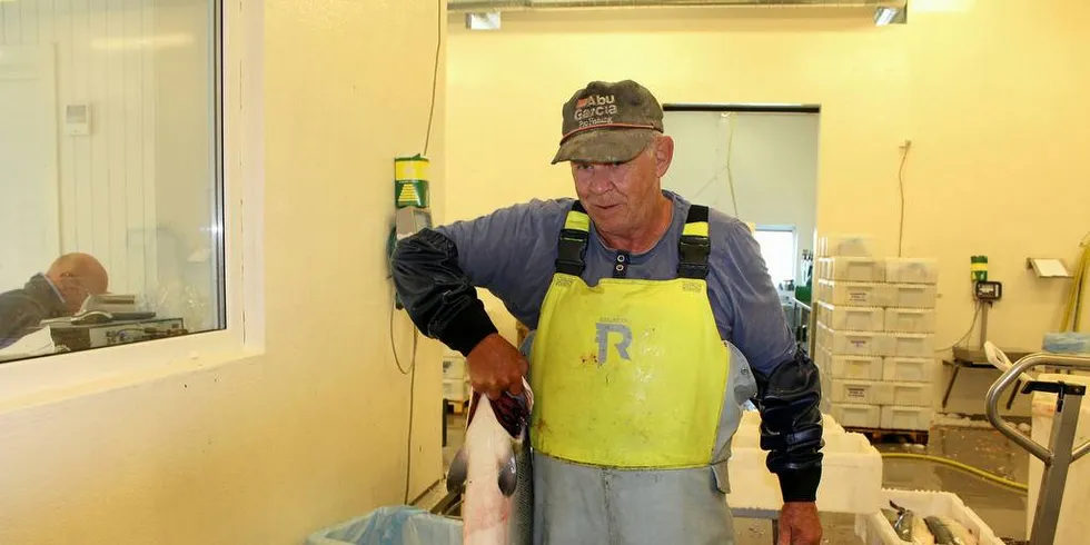 BEDRE FANGSTER: – Sjølaksefisket gir bedre fangster enn i fjor, sier Mandal-fiskeren Svein Lund som fikk en laks på rundt 10 kilo tirsdag.Foto: Roy Harbakk