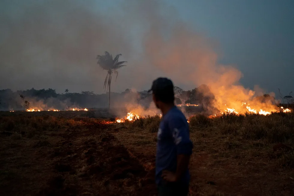 Det brenner mange steder i Amazonas, og Brasil får kritikk for ikke å beskytte regnskogen.