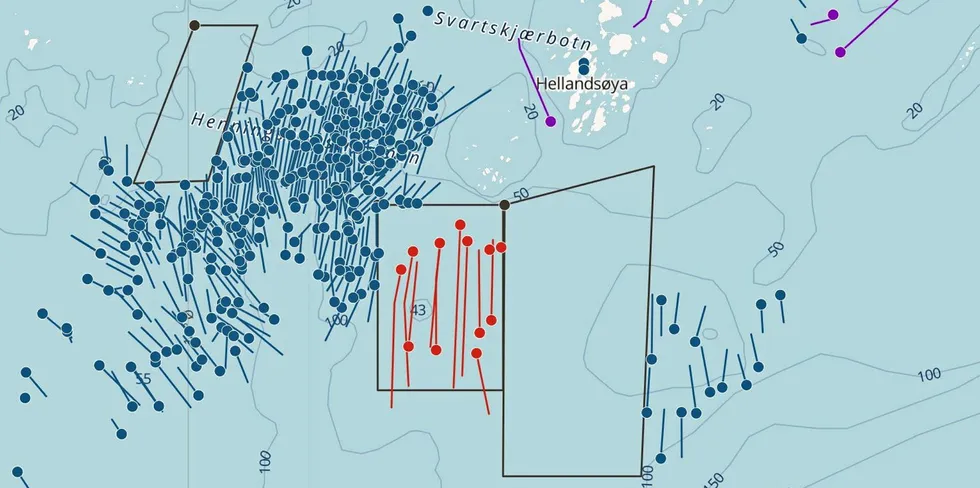 Dagens registrering av garn i Henningsværstraumen. Et stort antall garnlenker står registrert satt for opp til ti dager siden.