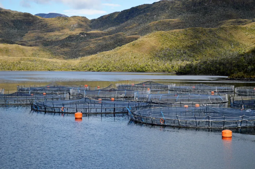 Chile salmon farmer Nova Austral, backed by private equity giant Altor, has been in talks to financially restructure the company with secured lenders and bondholders as it tries to address its working capital needs.