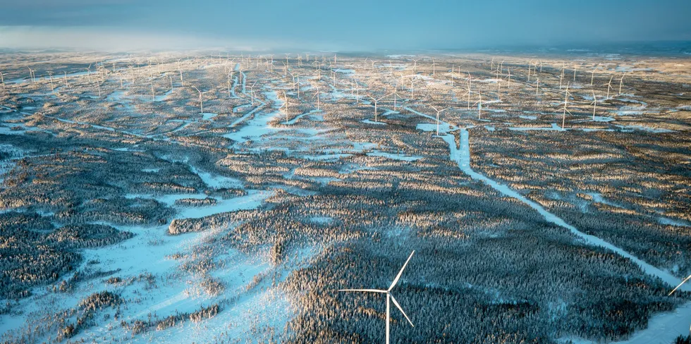 The under-construction Markbygden wind project in northern Sweden will be one of the world's largest.