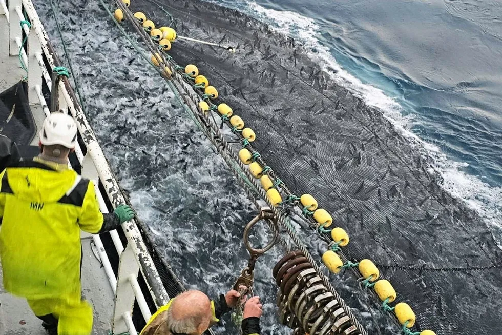 Makrellfiskerne Olaf Iversen og Ole Svein Einebærholm er skuffet over Norges Fiskarlag og mener de burde gjort mer for å stanse overfiske. Bildet viser mannskap på Iversens båt «Orskjær».