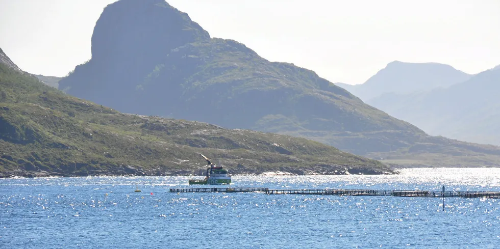 AQS-arbeidsbåt på vei ut i Malangsfjorden fra Egil Kristoffersen & Sønner