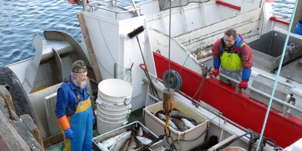 Gode tider. Bildet er fra 2014 der fisker Kyrre Brun (t.v.) fra Stø i Øksnes leverer skrei av topp kvalitet til kai på Myre. Foto: Jon Eirik Olsen.