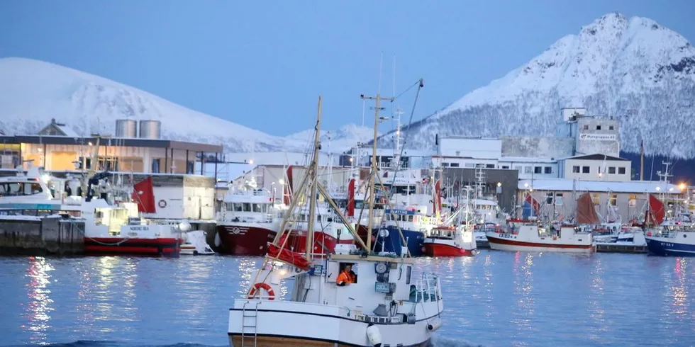 Bare 200 tonn fersk torsk kom på land torsdag i Vesterålen. Her innseiling til Myre havn. Arkivfoto: Jon Eirik Olsen