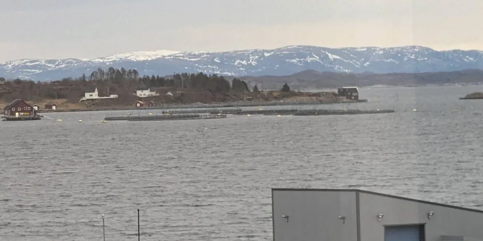 Slik så det ut på Sistranda på Frøya, mot Måsøvals lokalitet Bukkholmen S, onsdag formiddag. Senere på dagen er det meldt rødt farevarsel om ekstremt kraftige vindkast.