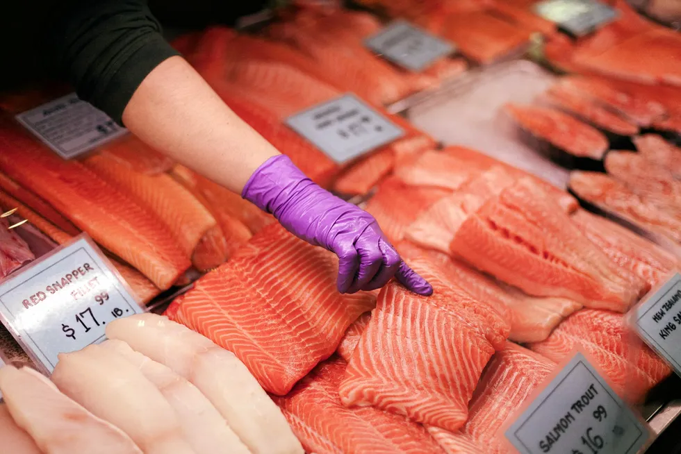 Salmon prices are beginning to increase from the lowest levels reported last week.