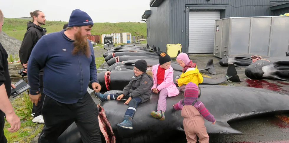 Tor Winther bor på Sandøy hvor grindkvalene ble tatt onsdag i forrige uke. Hendelsen er en stor begivenhet på øyen.