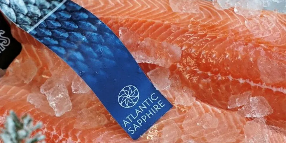 . Atlantic Sapphire fresh land-based farmed salmon fillets officially went on sale in late September.