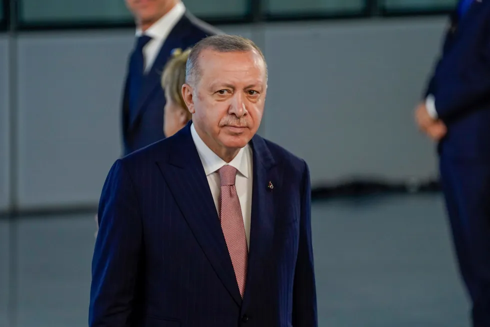 Tyrkias president Recep Tayyip Erdoğan sier han ikke er tilhenger av å ta Sverige og Finland inn i Nato.