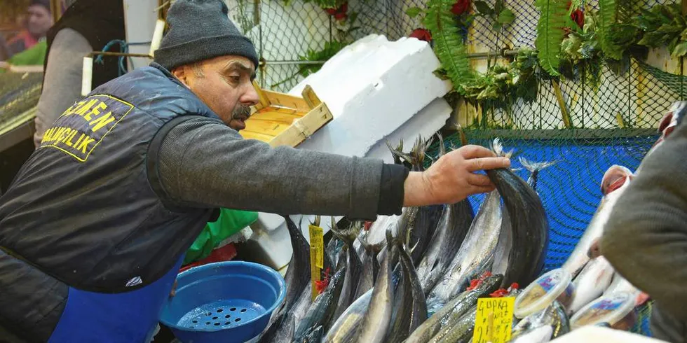 DYRERE SJØMAT: Importert sjømat er blitt dyrere for tyrkiske forbrukere på grunn av at lira har svekket seg betydelig i forhold til blant annet norske kroner.Foto: Fredrik Drevon