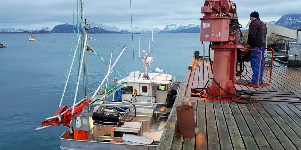 Mange fiskere er avhengig av at det kommer på plass en ordning for mottak av fisk, nå som Træna Seafood har avviklet driften. Her seilevering på Bolga.