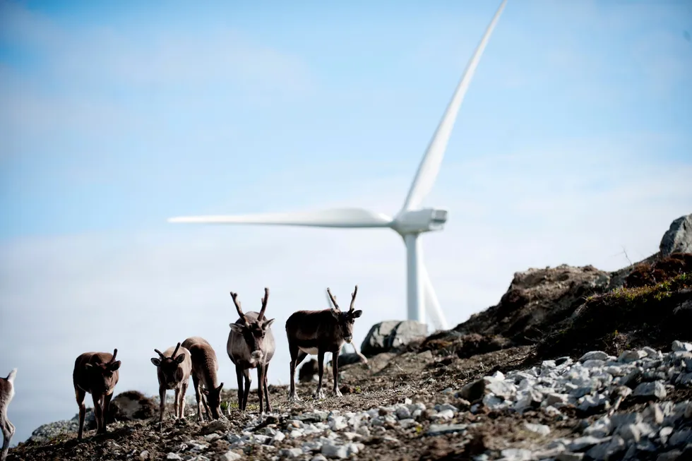 Troms Kraft planlegger å investere mer i vindkraftutbygging i regionen. Fra før av har selskapet en vindpark på Vannøya.