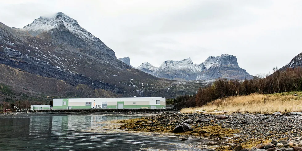 Et slikt anlegg vurderer Cermaq nå å bygge i Finnmark. Dette er Forsan i Nordland.