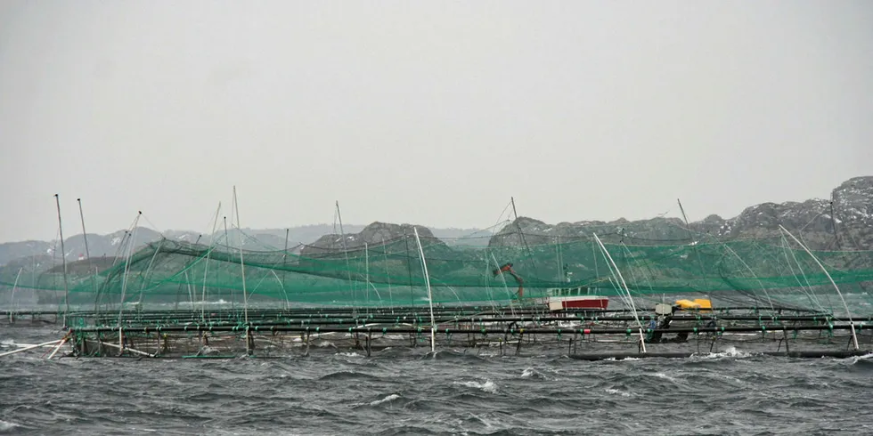 Norway Royal Salmon (NRS) har lokaliteter blant annet ved Espevær på Bømlo.