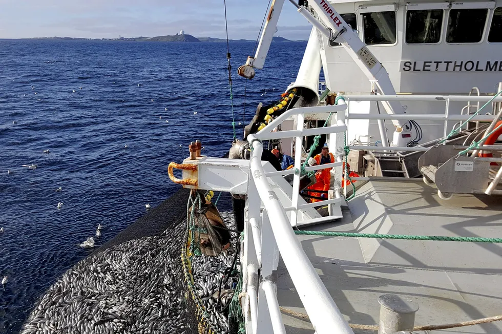 «Slettholmen» på seinotfiske mellom Vardø og Kiberg. Seinotfisket bør stoppes, og kvoten flyttes til neste år. Vi kan ikke fiske ned bestanden med å ta undermålsfisk, mener Fiskeribladet.