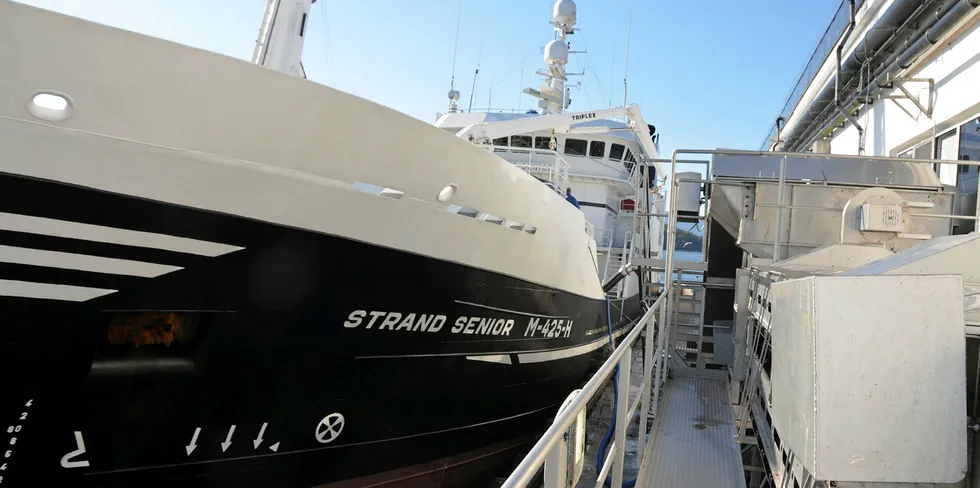 «Strand Senior» leverer fangst hos Brødrene Sperre.