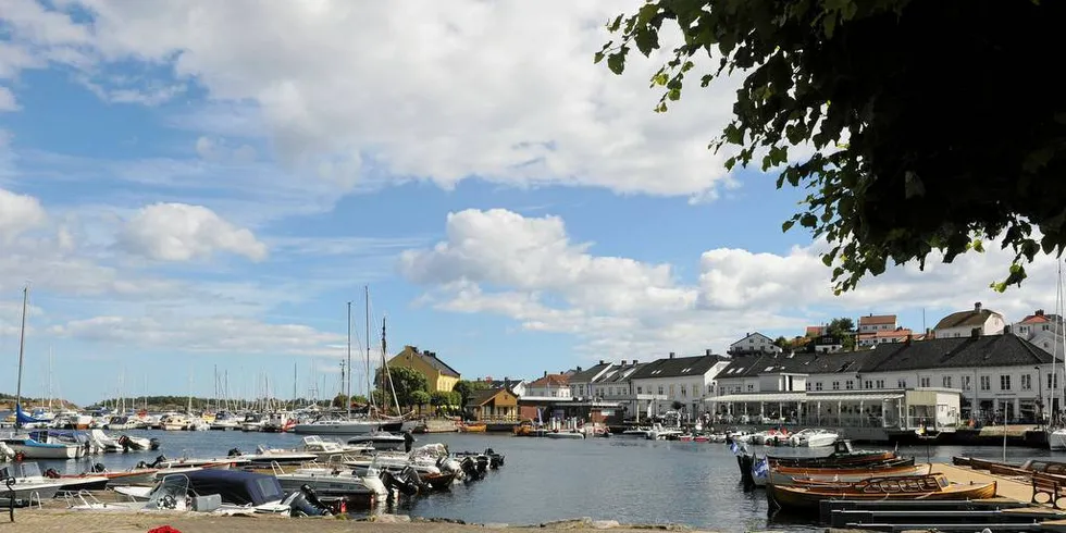 BLIDT: Sørlandet har mykje å vere stolt over, og ikkje berre at landsdelen er insisterande vakker. Rop det ut! Foto: Kjersti Kvile