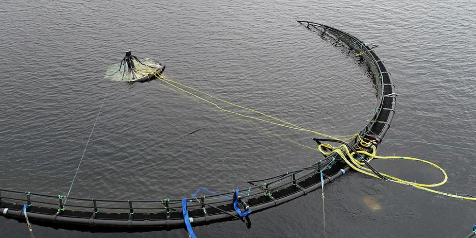 Atlantis Subsea Farming AS eies av SinkabergHansen, AKVA group og Egersund Net.