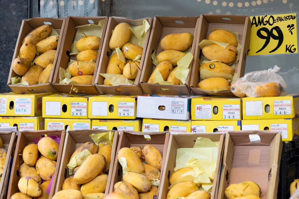 Klimaendringene vil ramme jordbruket hardt. Disse pakistanse mangoene holder til på Grønland i Oslo.