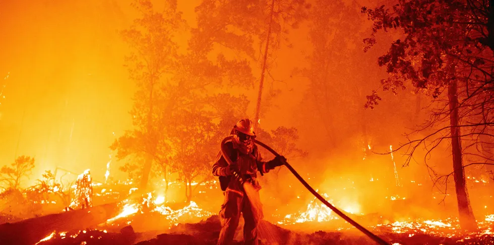 A firefighter douses flames as they push towards homes during the Creek fire in the Cascadel Woods area of Madera County, California