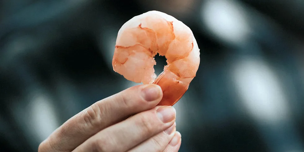 Shrimp consumption continues to rise in the United States.