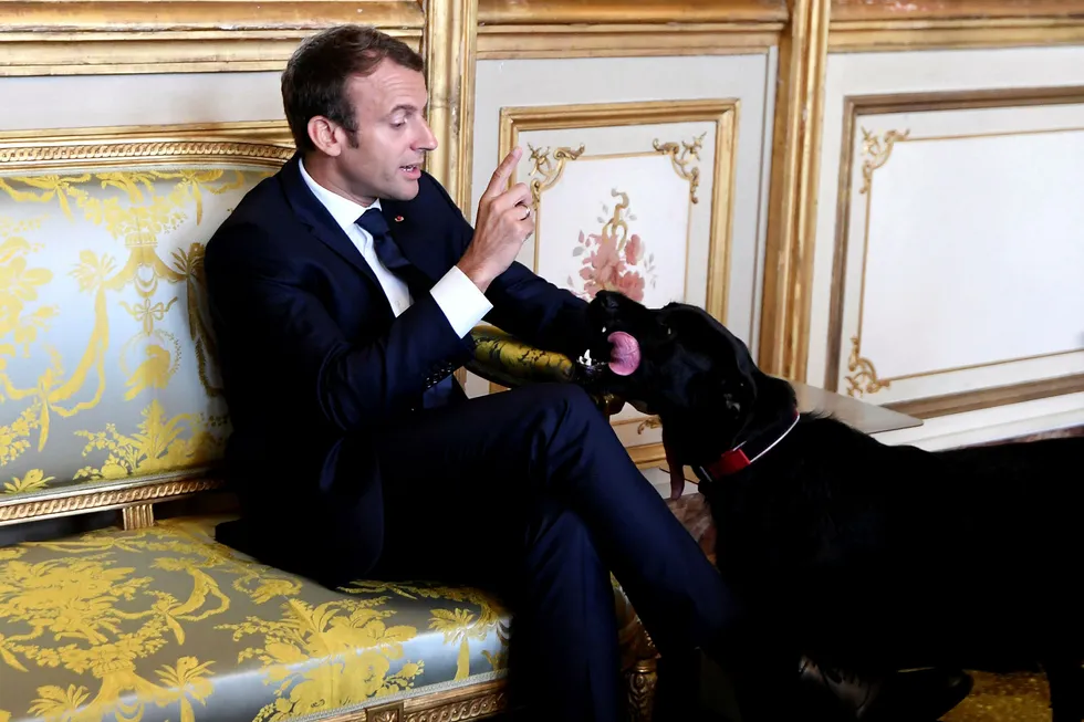 Den neste måneden kan komme til å vise om Emmanuel Macron virkelig er i stand til å sette Frankrike på en ny kurs, eller om han stiller seg i køen av dem som forsøkte, men ikke fikk det til. Her sammen med hunden sin, Nemo, under et møte i Paris. Foto: Alain Jocard/AP/NTB scanpix