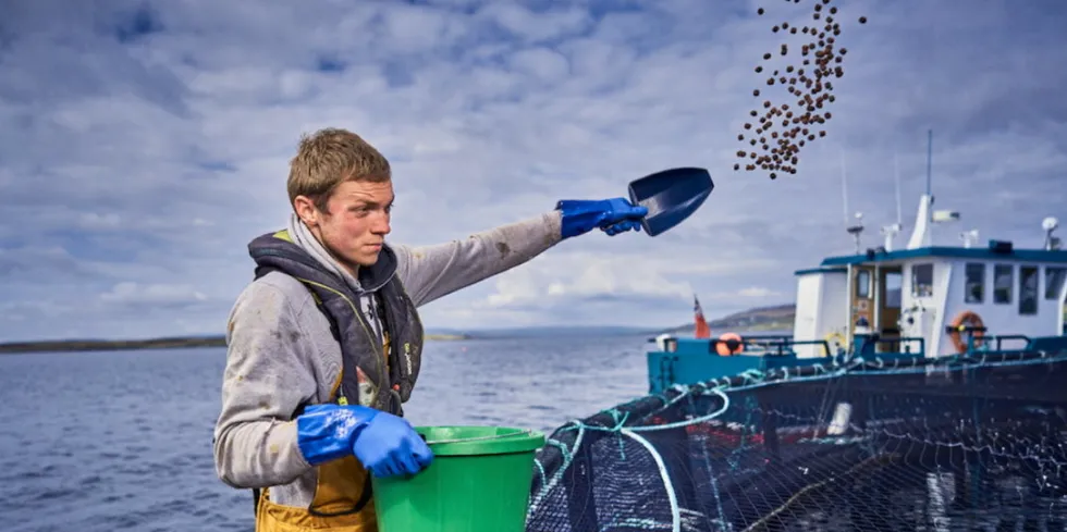 Cooke Aquaculture Scotland is the largest producer of organic Scottish salmon, which it grows exclusively in Orkney.