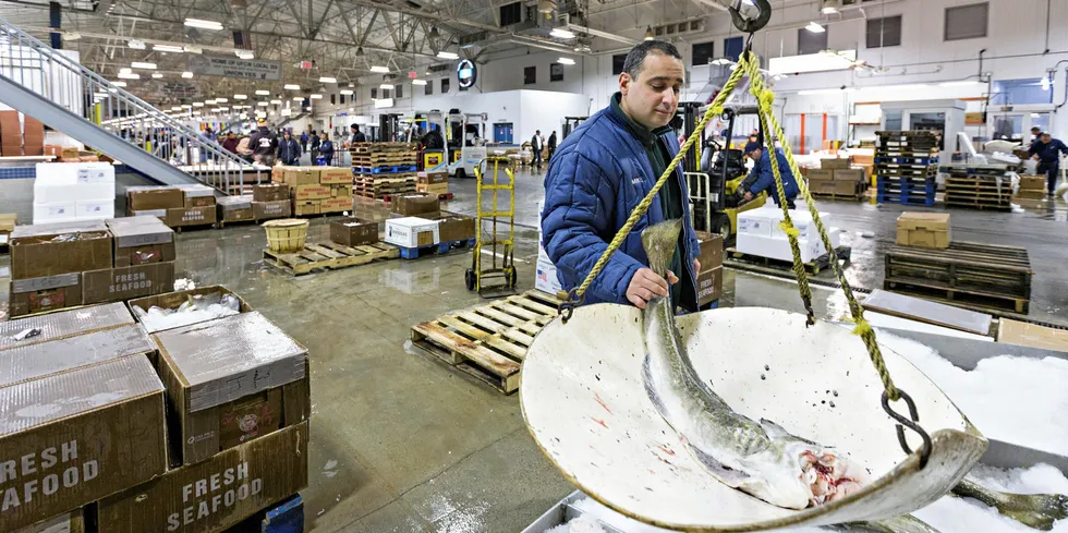 Aktivitet på New Fulton Fish Marked, USA - fiskehandler Mike Sciabarra i Mount Sinai Fish veier skreien han har fått fra Myre i Vesterålen.