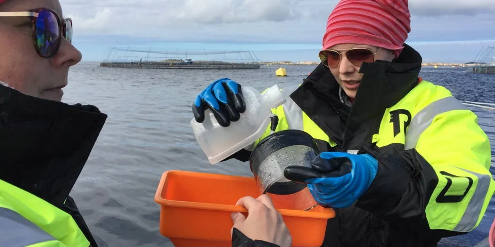 Doktorgradsstipendiater Maria Guttu (t.v.) og Lone Sunniva Jevne driver med prøvetaking i nærheten av oppdrettsanlegg på Frøya på jakt etter lakseluslarver – som en del av Taskforce Lakselus-forskningsprogrammet finansiert av havbruksnæringen.